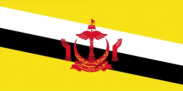 brunei, flag, symbol